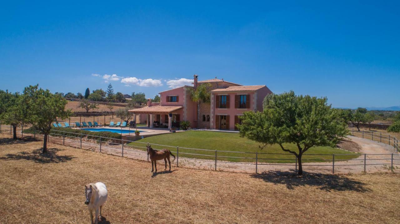 Manacor-289865 *